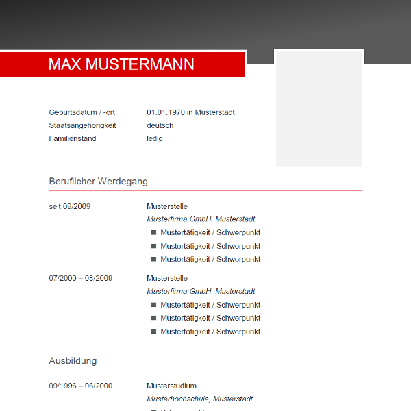 Vorlage / Muster: CV-Beispiel