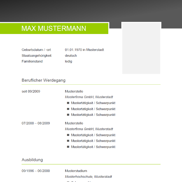 Vorlage / Muster: CV-Layout