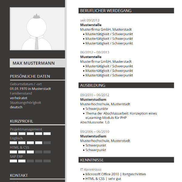 Vorlage / Muster: Lebenslauf-Layout Grau