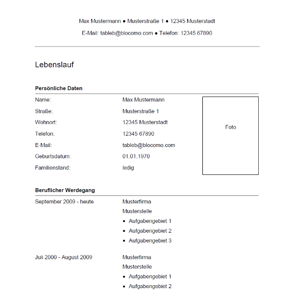 Vorlage / Muster: Lebenslauf-Vorlage 34