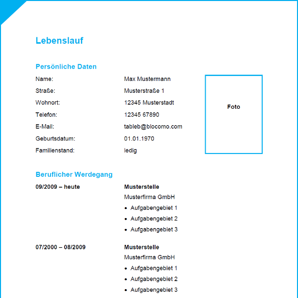 Vorlage / Muster: Vorlage 36