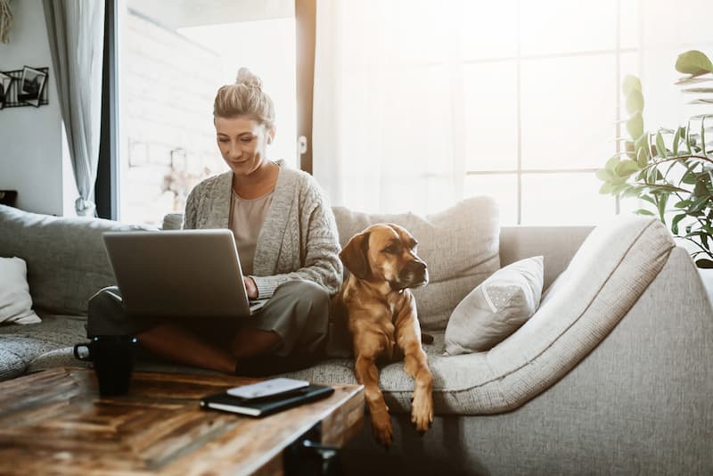 Eine Frau sitzt mit dem Laptop und dem Hund auf dem Sofa und arbeitet nach dem Work-Life-Blending