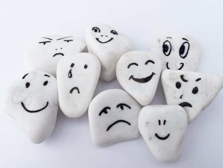 Mehrere Steine mit aufgemalten Gesichtern, was ist emotionale Kompetenz im Beruf?