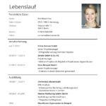 lebenslauf klassisch e1768912794147