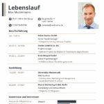 lebenslauf mit icons e1768914613398