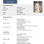 lebenslauf modern e1768914336451